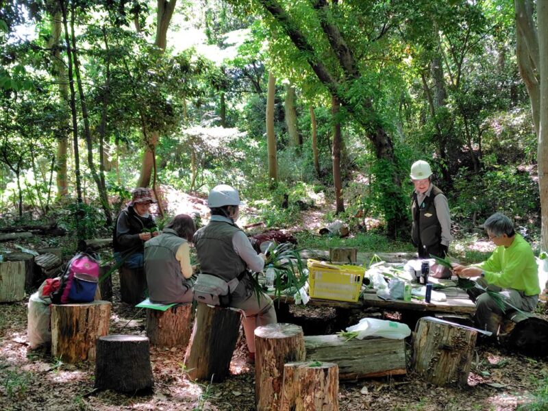 市川山季の会