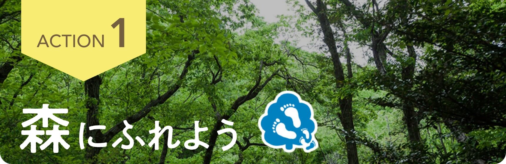 <span>ACT1</span> 森にふれよう