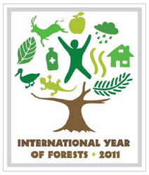 「国際森林年」ロゴマーク